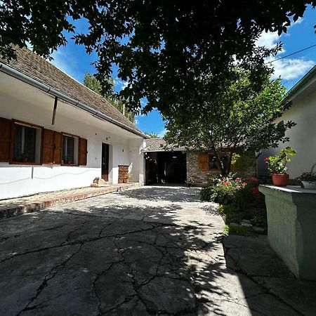 Oaza Mira Porodicna Kuca Za Opustanje Villa Apatin Exteriör bild