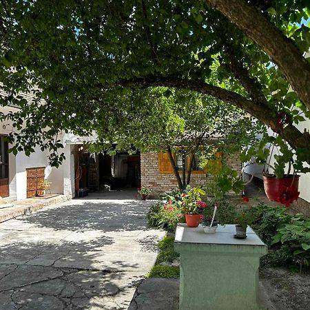 Oaza Mira Porodicna Kuca Za Opustanje Villa Apatin Exteriör bild