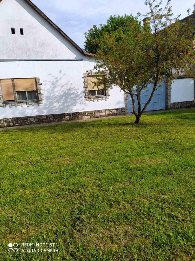 Oaza Mira Porodicna Kuca Za Opustanje Villa Apatin Exteriör bild