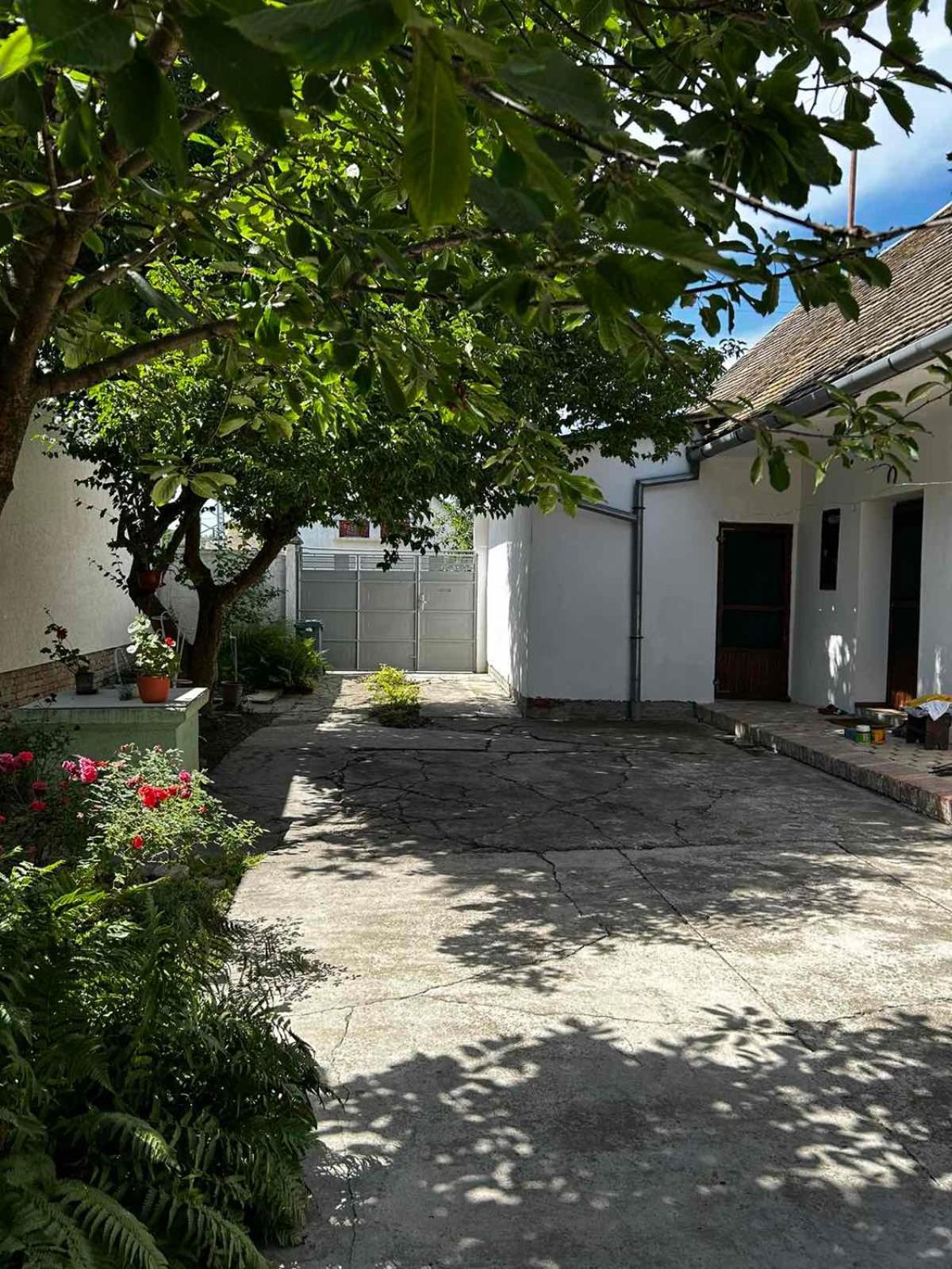 Oaza Mira Porodicna Kuca Za Opustanje Villa Apatin Exteriör bild