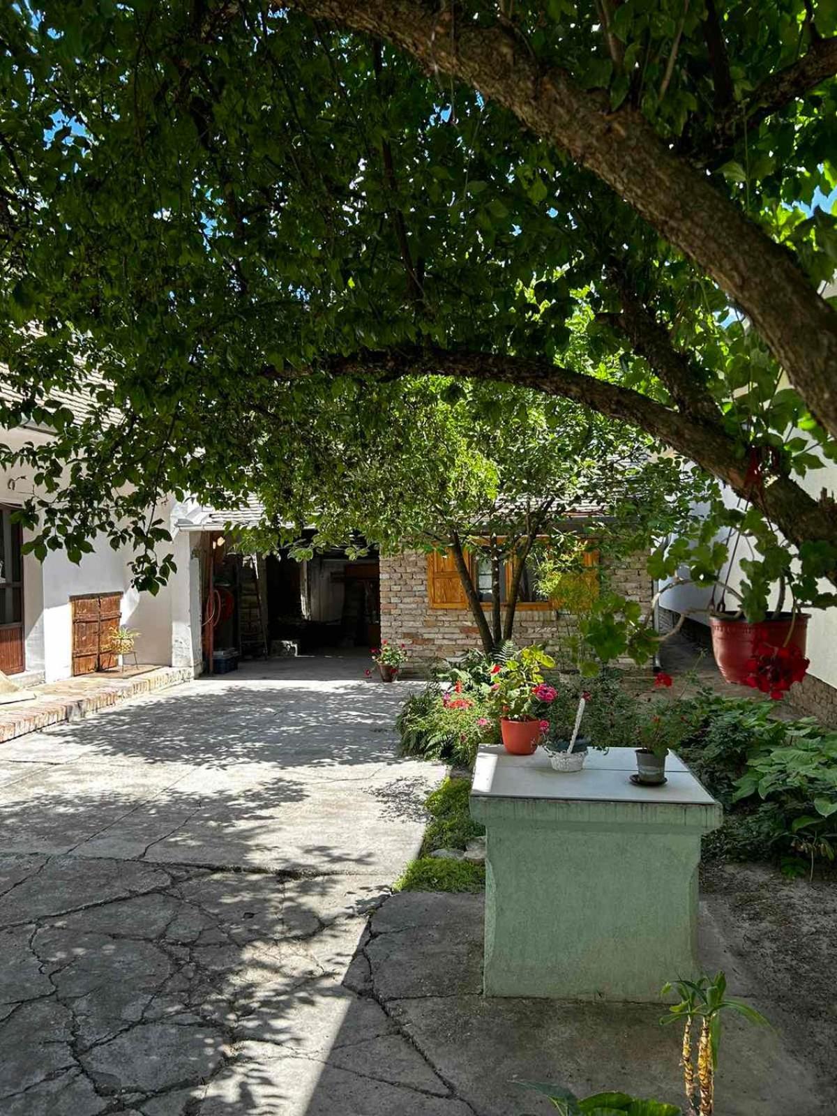 Oaza Mira Porodicna Kuca Za Opustanje Villa Apatin Exteriör bild